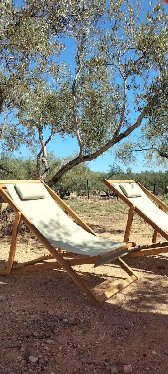 1 soverom Finca/Herregård til salgs i Camarles - € 135 000 (Ref: 9690585)