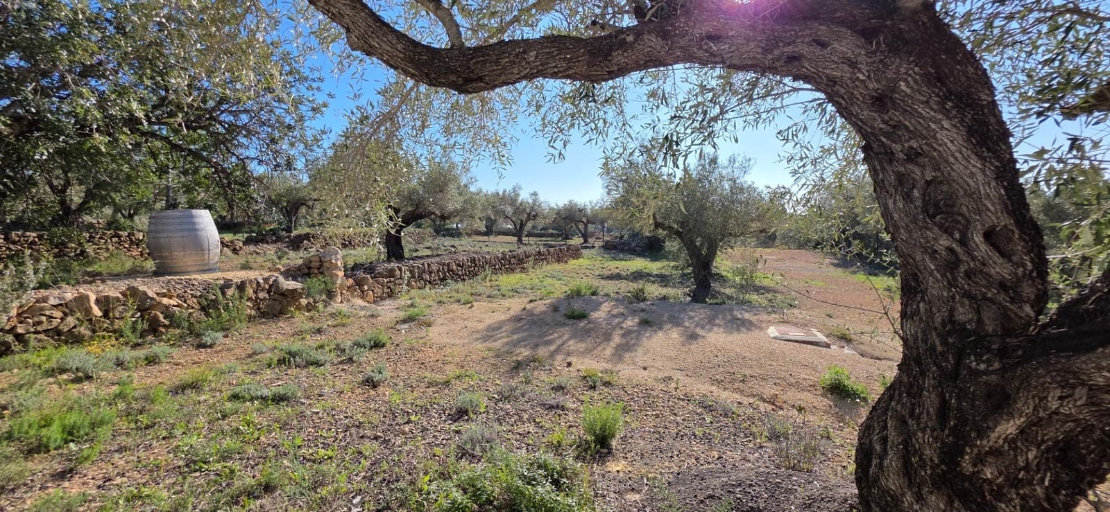 2 bedroom Finca/Country House for sale in L'Ametlla de Mar - € 260,000 (Ref: 9698812)