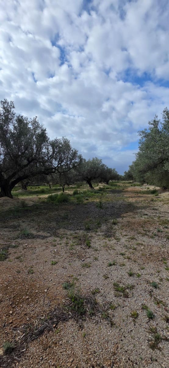 Finca/Country House for sale in L'Ampolla - € 240,000 (Ref: 9714914)
