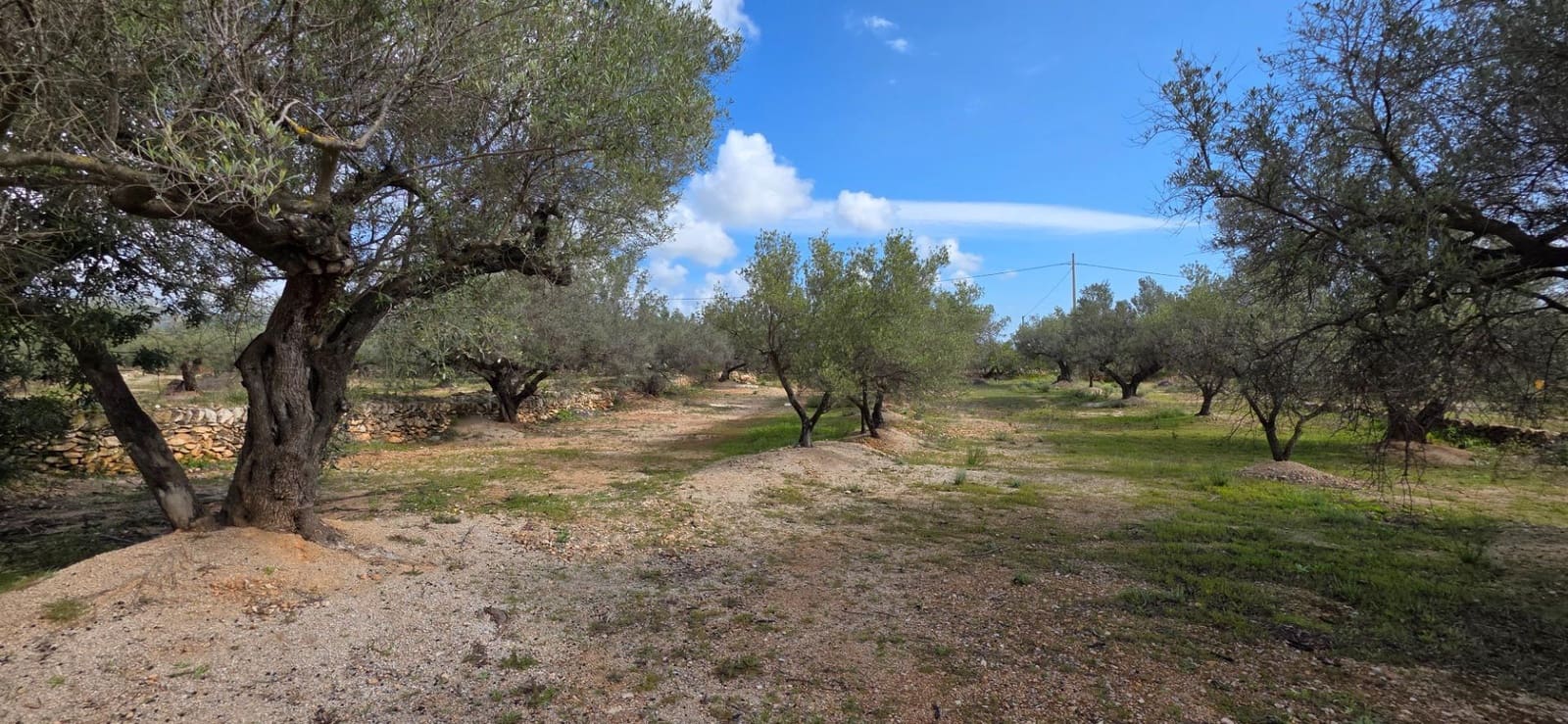 Finca/Country House for sale in L'Ampolla - € 240,000 (Ref: 9714914)