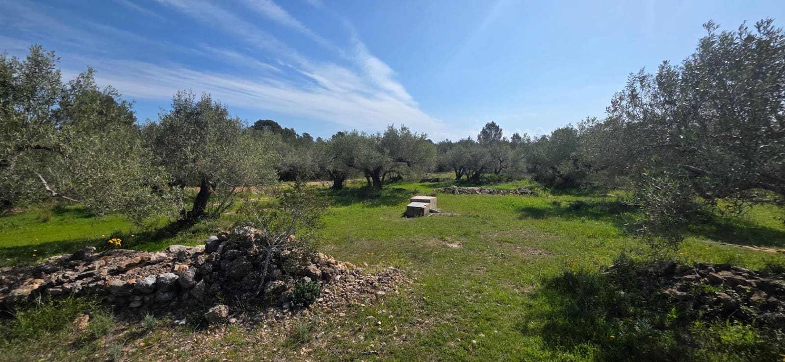 3 bedroom Finca/Country House for sale in L'Ametlla de Mar - € 250,000 (Ref: 9714915)