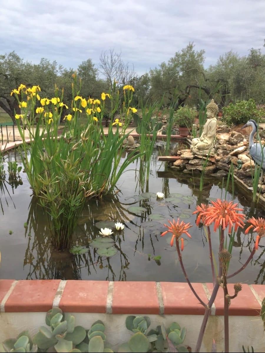 10 soveværelse Finca/Landehus til salg i L'Ampolla med swimmingpool garage - € 390.000 (Ref: 9726625)