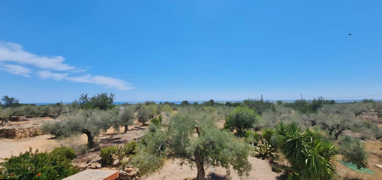 10 soveværelse Finca/Landehus til salg i L'Ampolla med swimmingpool garage - € 390.000 (Ref: 9726625)