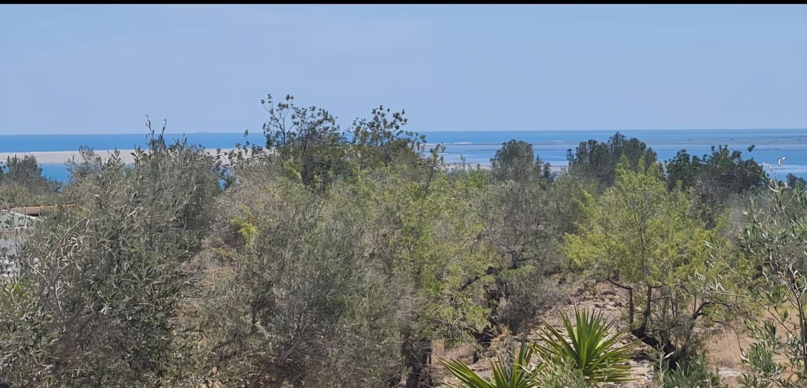 10 soveværelse Finca/Landehus til salg i L'Ampolla med swimmingpool garage - € 390.000 (Ref: 9726625)