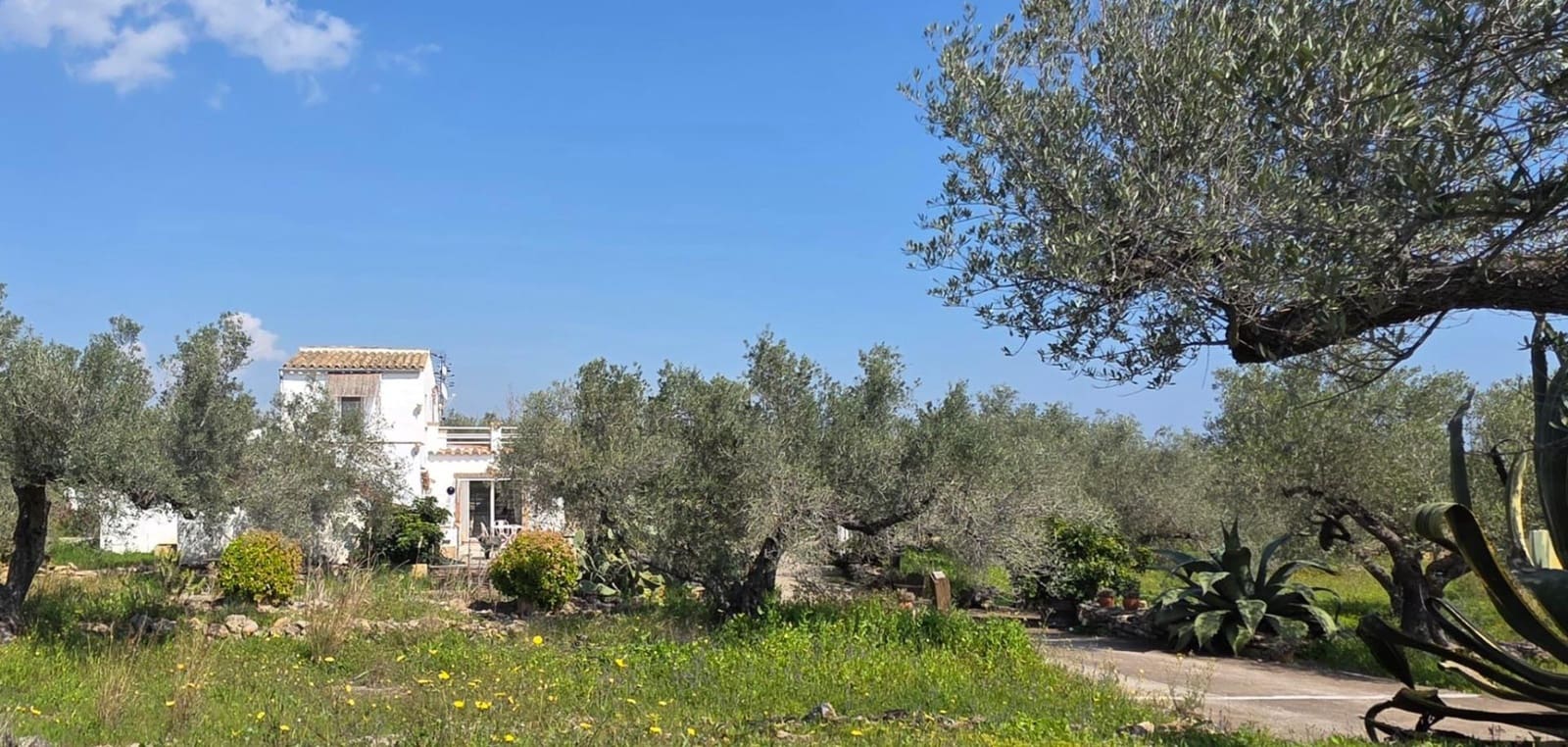 10 soveværelse Finca/Landehus til salg i L'Ampolla med swimmingpool garage - € 390.000 (Ref: 9726625)