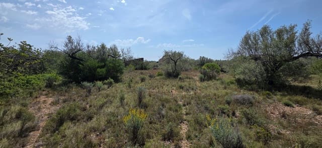 Finka/Dom wiejski na sprzedaż w L'Ametlla de Mar - 29 000 € (Ref: 9799238)