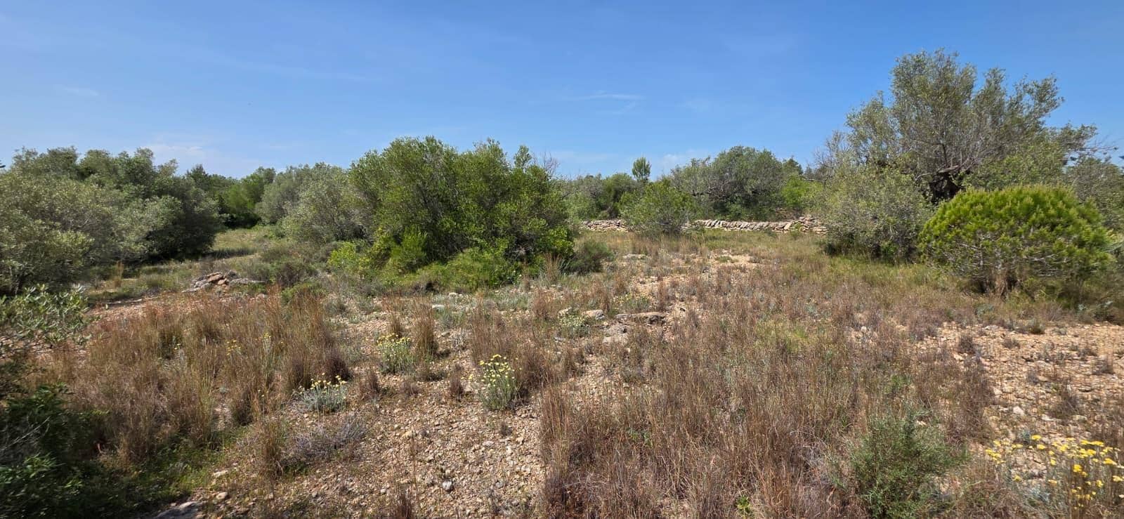 Finka/Dom wiejski na sprzedaż w L'Ametlla de Mar - 29 000 € (Ref: 9799238)