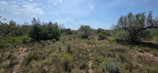 Finca/Landhuis te koop in L'Ametlla de Mar - € 29.000 (Ref: 9799238)