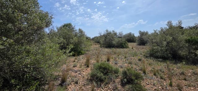 Finca/Landhuis te koop in L'Ametlla de Mar - € 29.000 (Ref: 9799238)