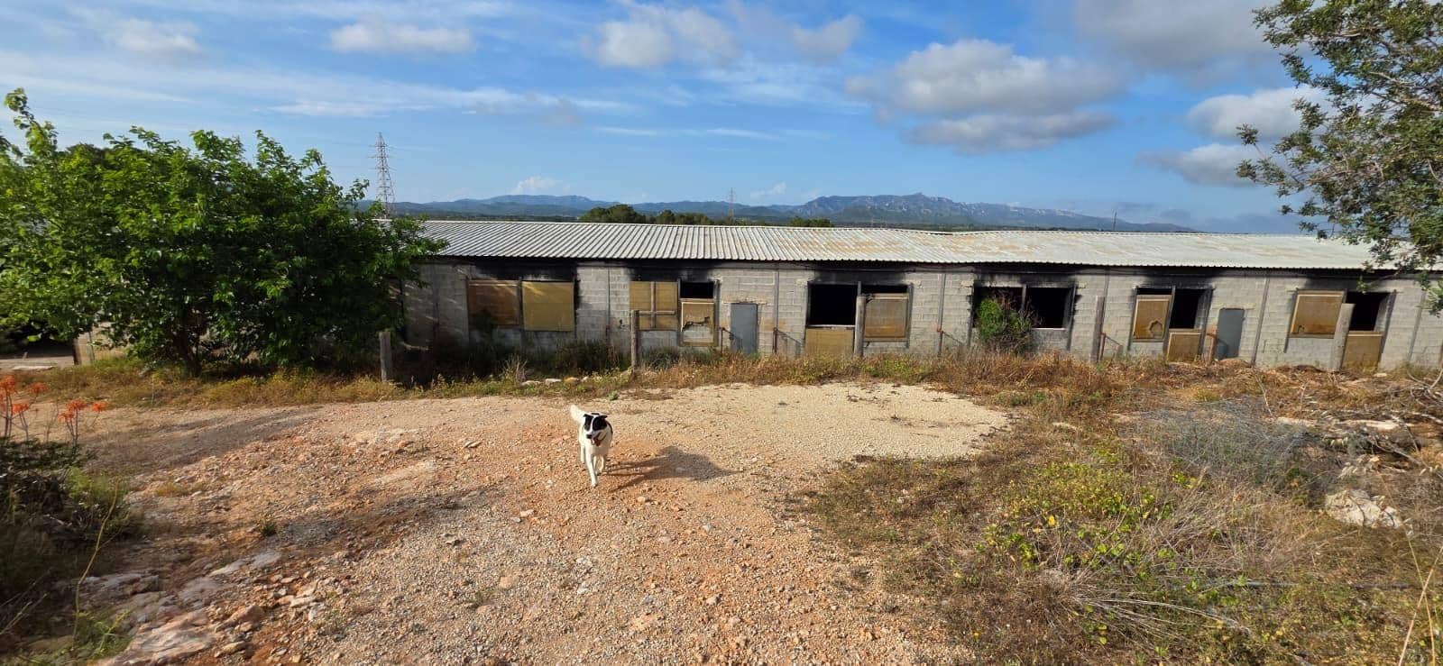 Finca/Country House for sale in El Perello - € 99,000 (Ref: 9818191)