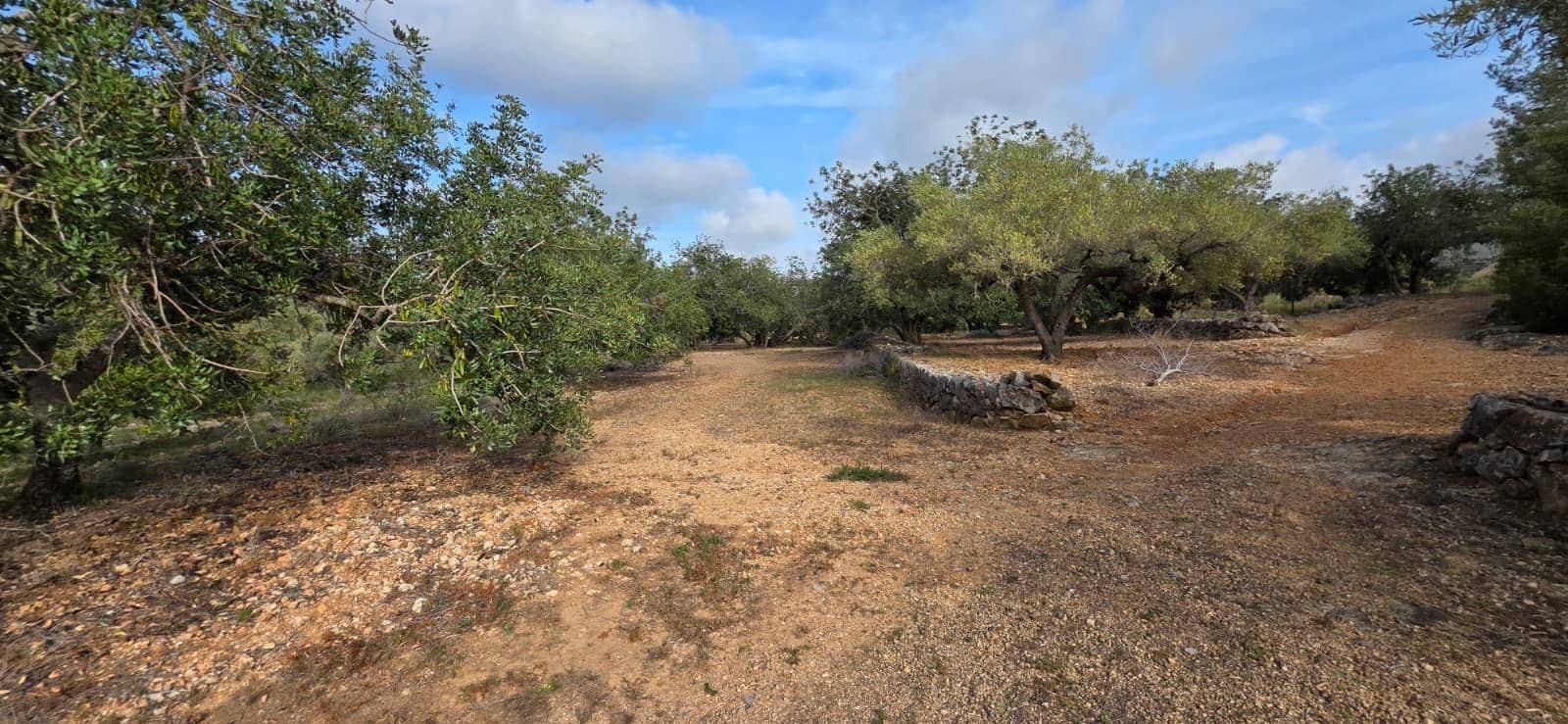 Finca/Country House for sale in El Perello - € 99,000 (Ref: 9818191)