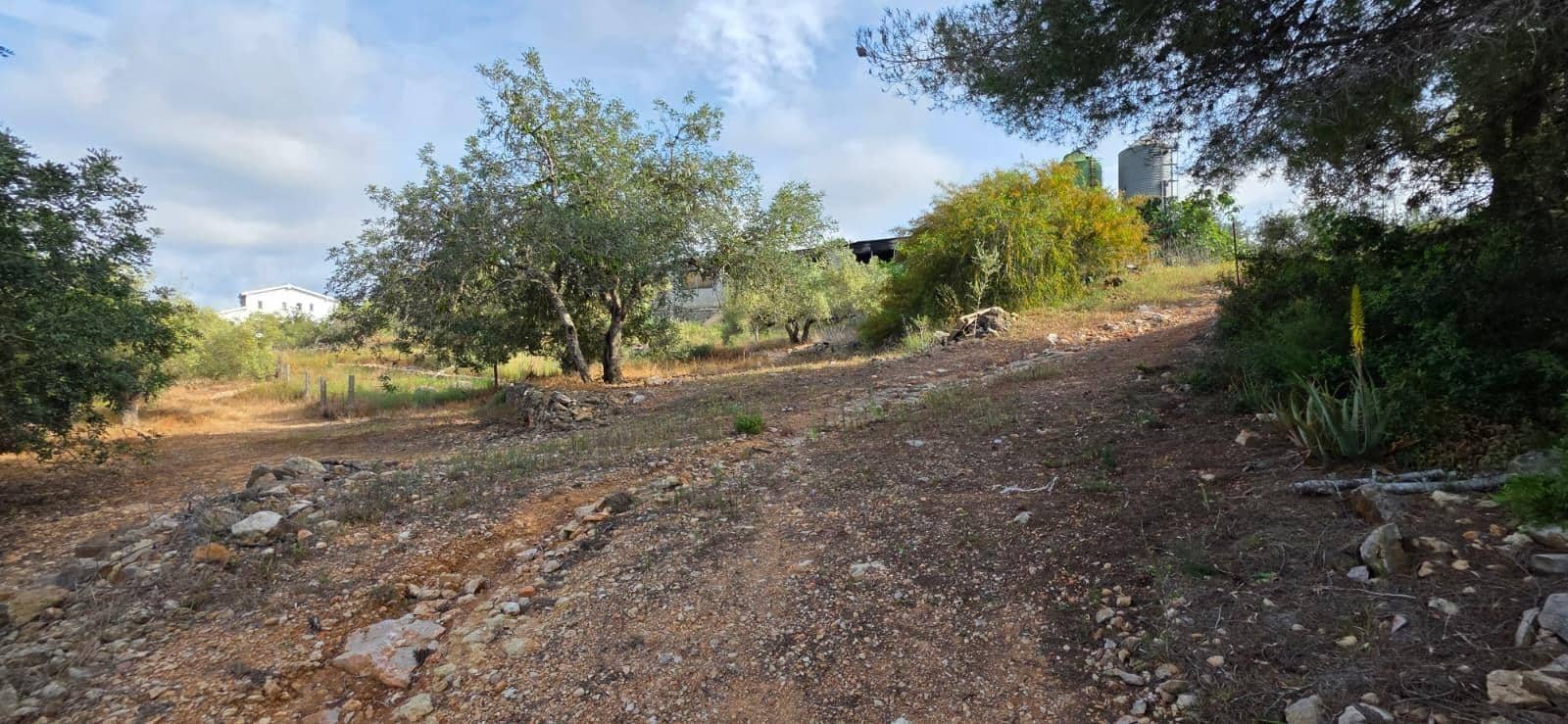Finca/Country House for sale in El Perello - € 99,000 (Ref: 9818191)