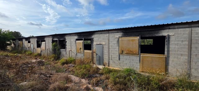 Finca/Herregård til salgs i El Perelló - € 99 000 (Ref: 9818191)