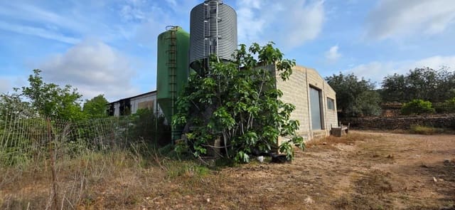 Finca/Herregård til salgs i El Perelló - € 99 000 (Ref: 9818191)