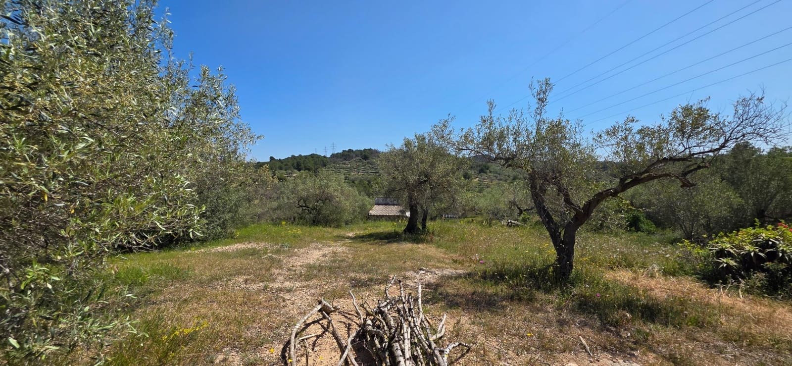 2 bedroom Finca/Country House for sale in El Perello with pool - € 295,000 (Ref: 9833634)
