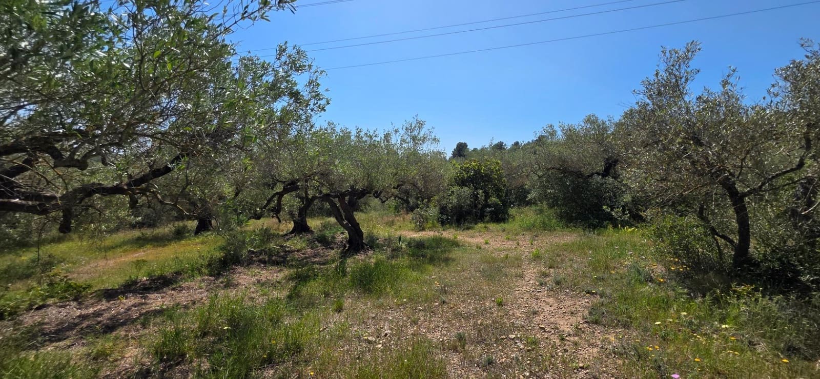 2 bedroom Finca/Country House for sale in El Perello with pool - € 295,000 (Ref: 9833634)