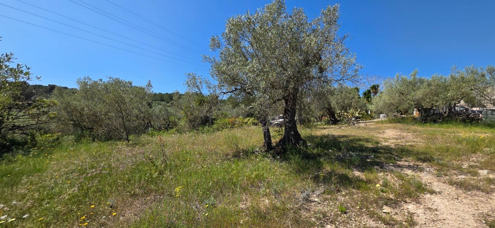 2 bedroom Finca/Country House for sale in El Perello with pool - € 295,000 (Ref: 9833634)
