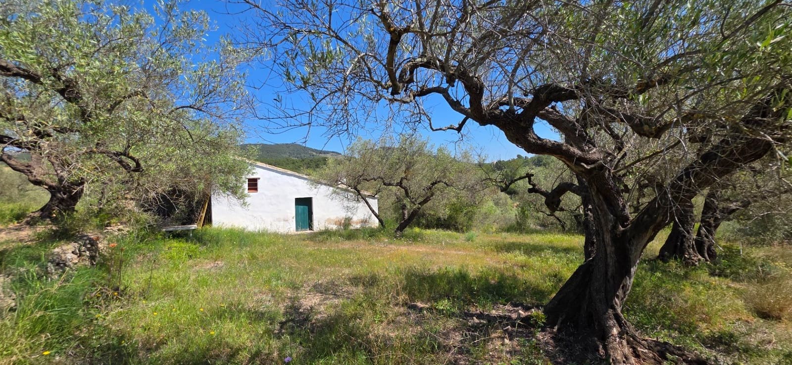 2 bedroom Finca/Country House for sale in El Perello with pool - € 295,000 (Ref: 9833634)