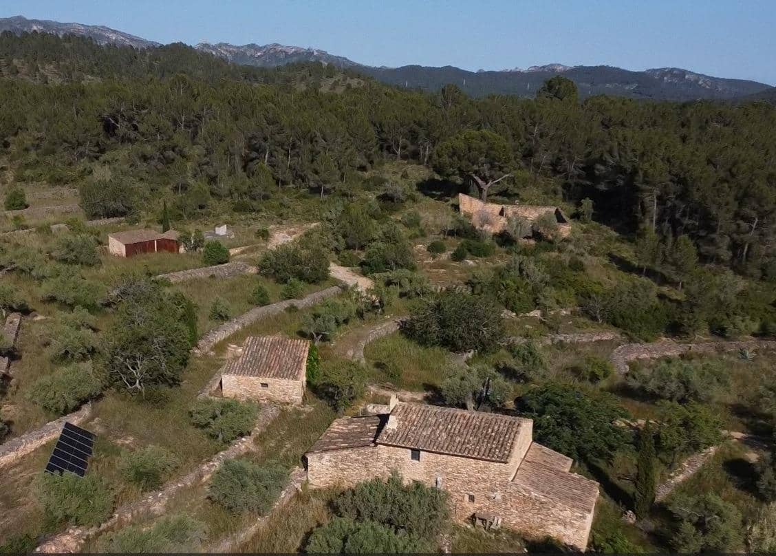 4 bedroom Finca/Country House for sale in Tivissa - € 395,000 (Ref: 9878808)