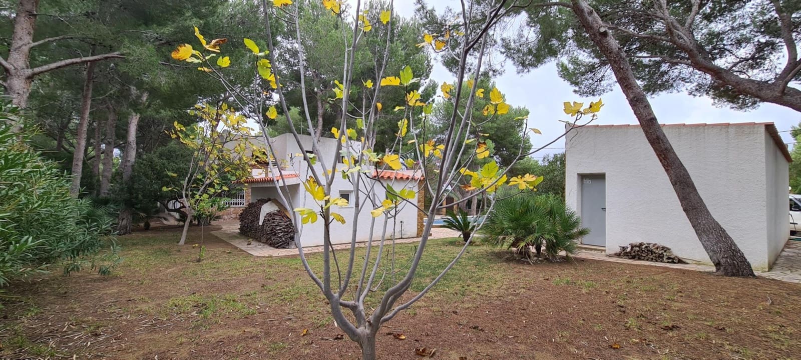5 bedroom Villa for sale in L'Ametlla de Mar with pool garage - € 1,080,000 (Ref: 9884789)