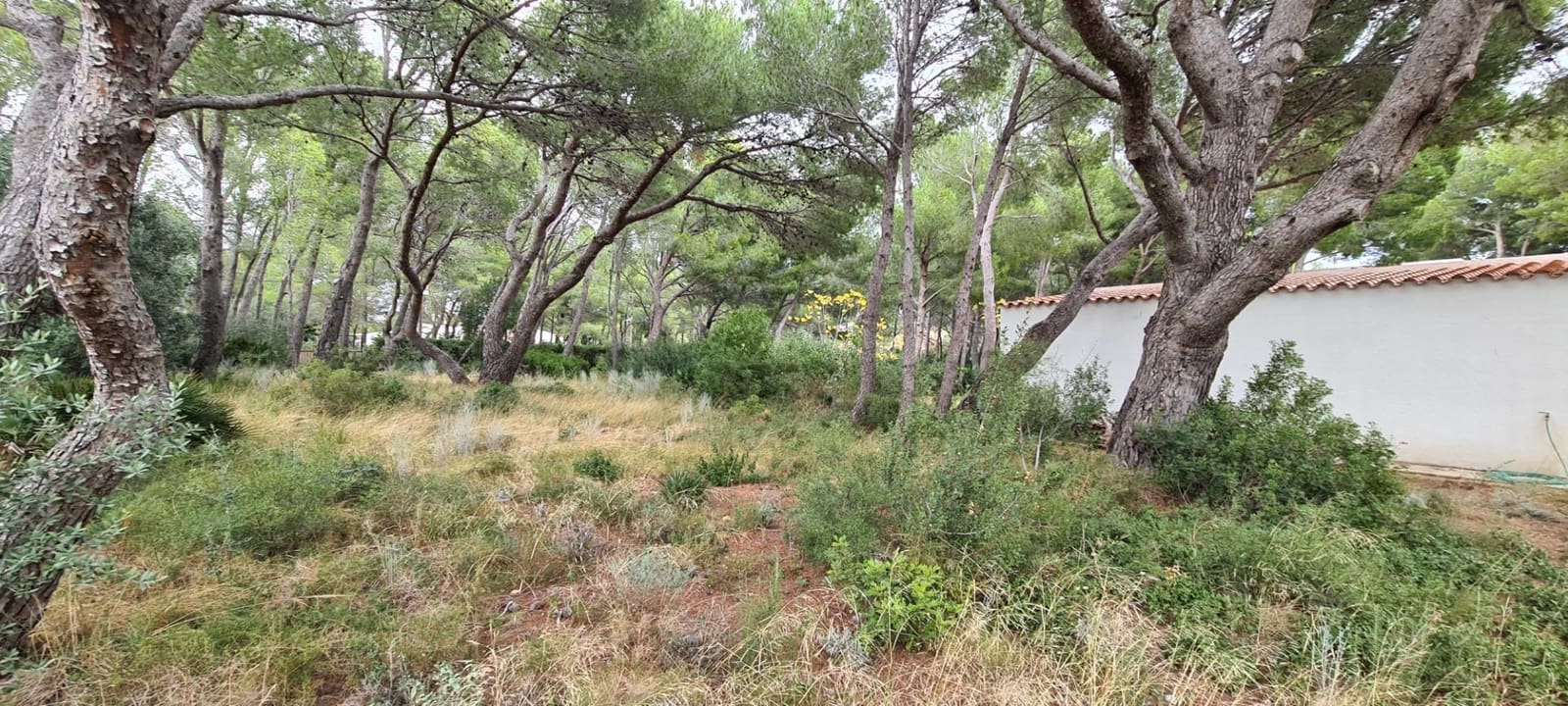 5 bedroom Villa for sale in L'Ametlla de Mar with pool garage - € 1,080,000 (Ref: 9884789)