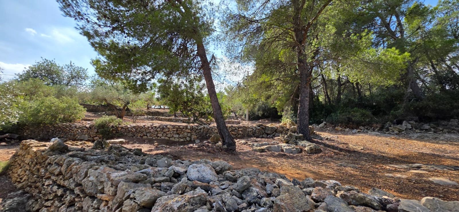 2 camera da letto Finca/Casa di Campagna in vendita in El Perello con piscina - 230.000 € (Rif: 9884790)