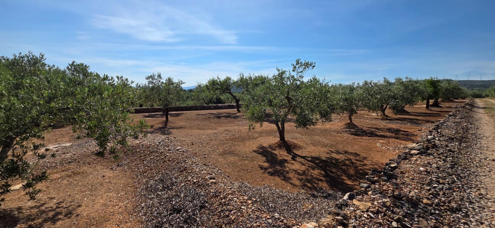 1 soveværelse Finca/Landehus til salg i L'Aldea med garage - € 50.000 (Ref: 9896328)
