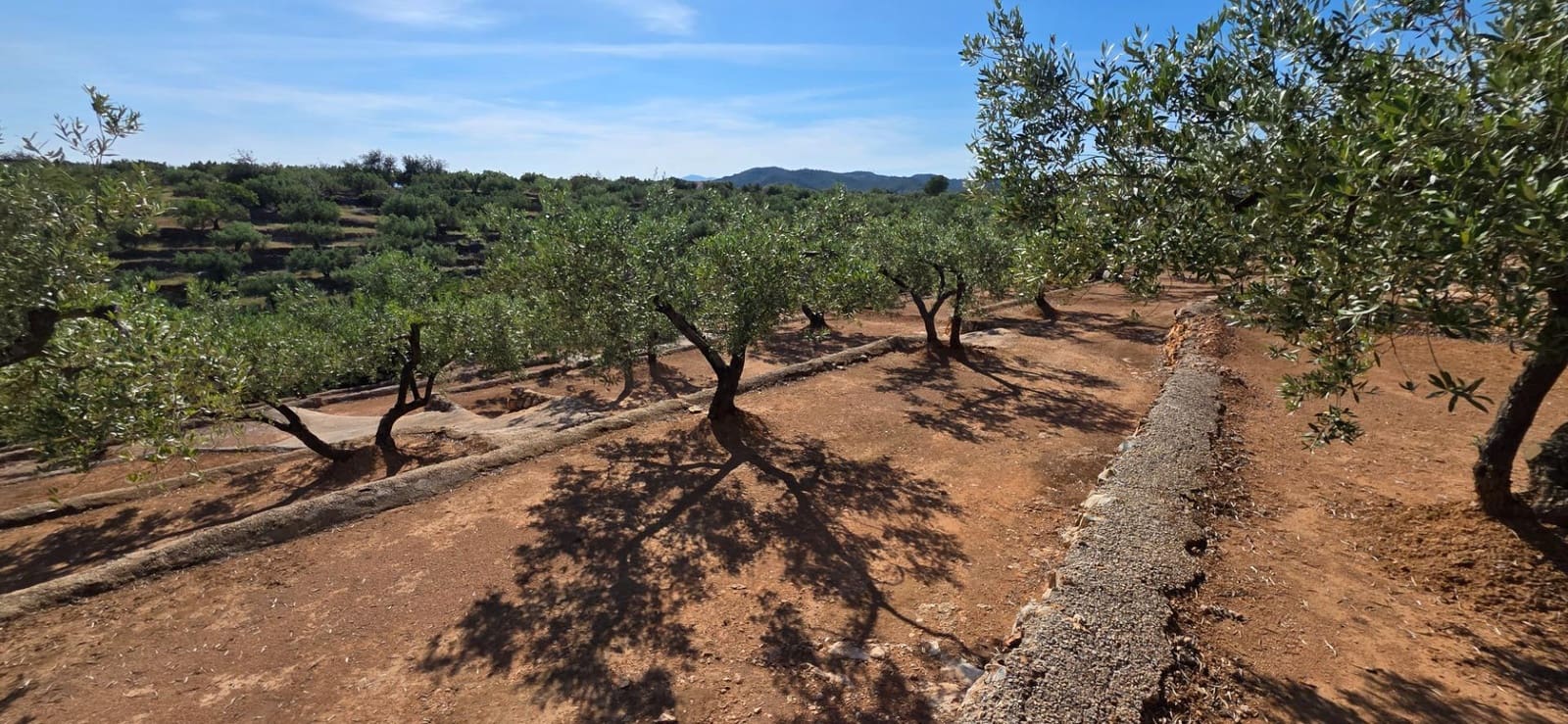 1 soveværelse Finca/Landehus til salg i L'Aldea med garage - € 50.000 (Ref: 9896328)