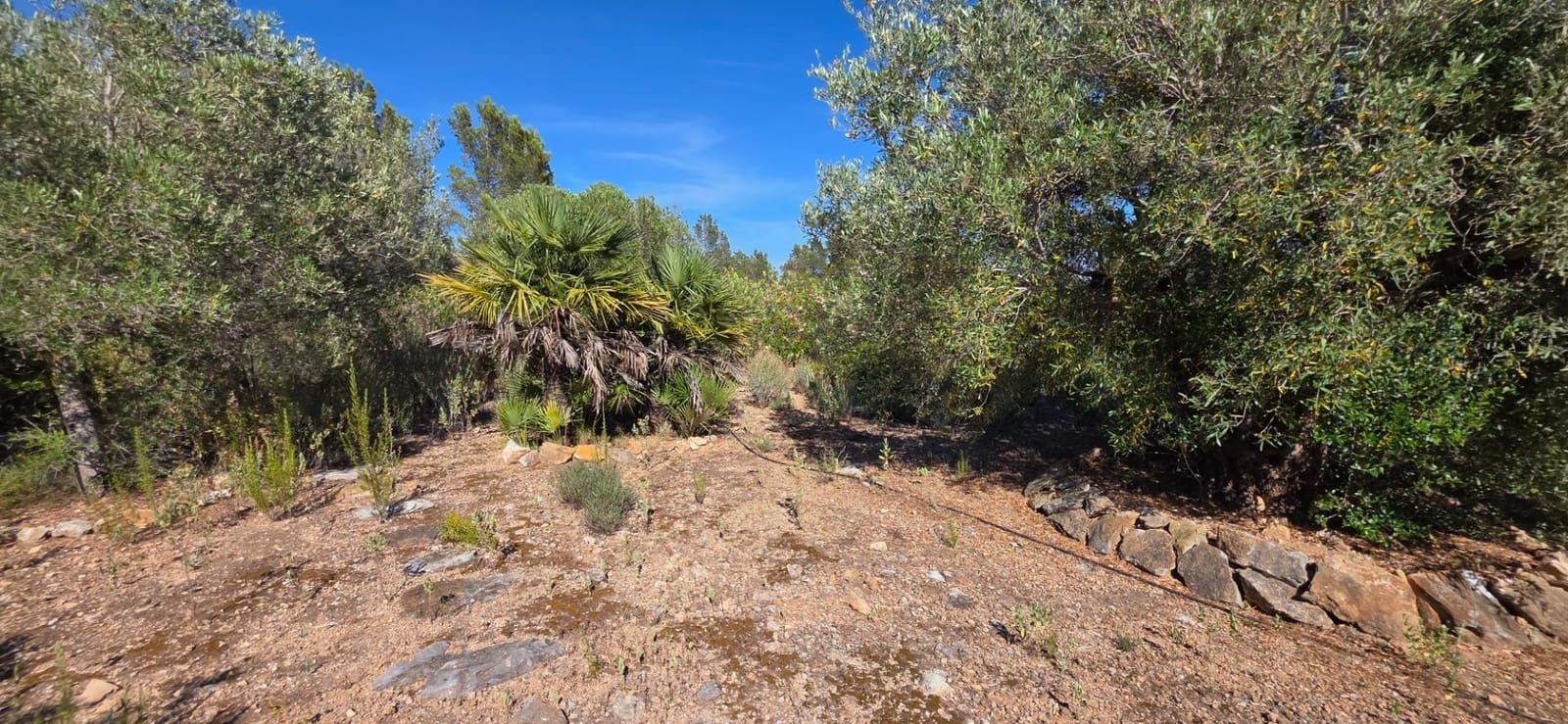 3 soverom Villa til salgs i L'Ametlla de Mar med svømmebasseng - € 440 000 (Ref: 9915809)