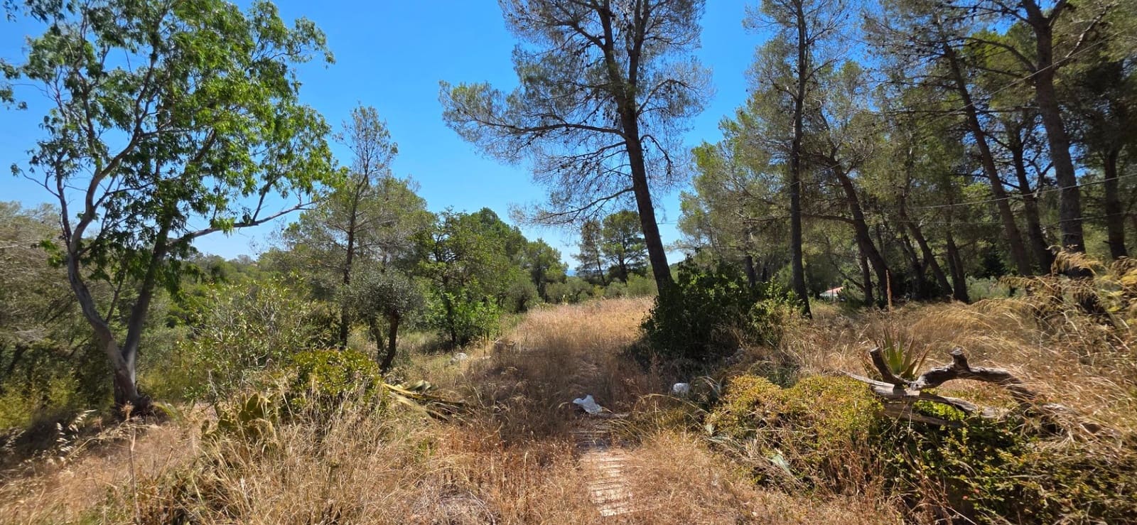 2 quarto Quinta/Casa Rural para venda em Cambrils - 149 000 € (Ref: 9954220)