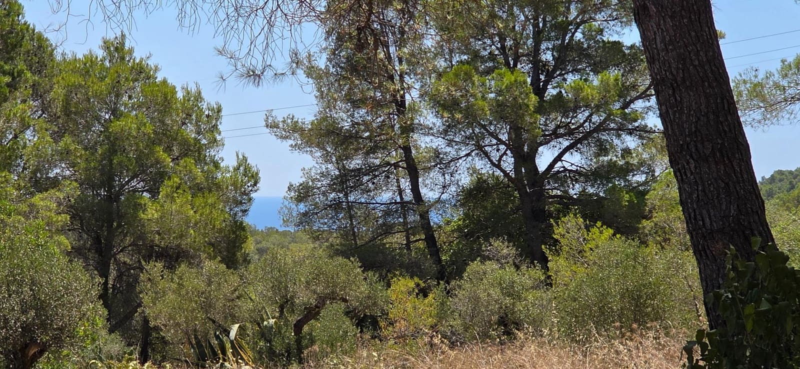 2 quarto Quinta/Casa Rural para venda em Cambrils - 149 000 € (Ref: 9954220)