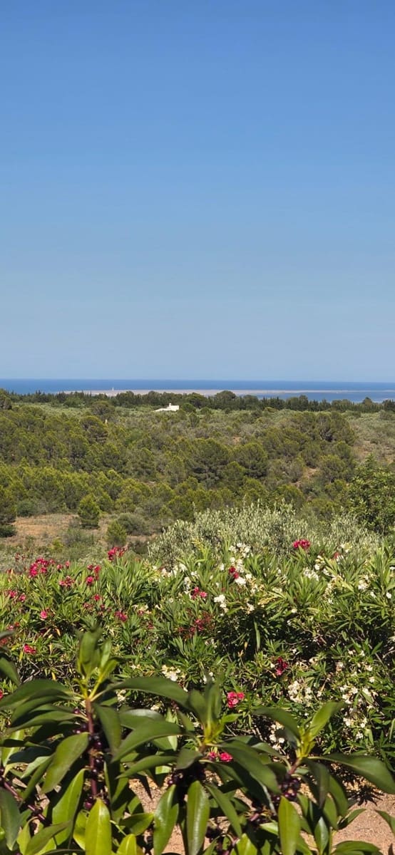 2 soveværelse Finca/Landehus til salg i L'Aldea - € 79.000 (Ref: 9957963)