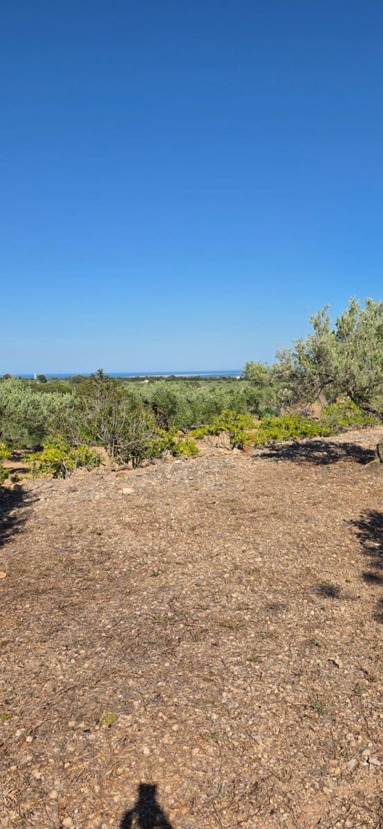 2 soveværelse Finca/Landehus til salg i L'Aldea - € 79.000 (Ref: 9957963)