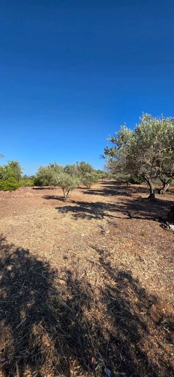 2 soveværelse Finca/Landehus til salg i L'Aldea - € 79.000 (Ref: 9957963)