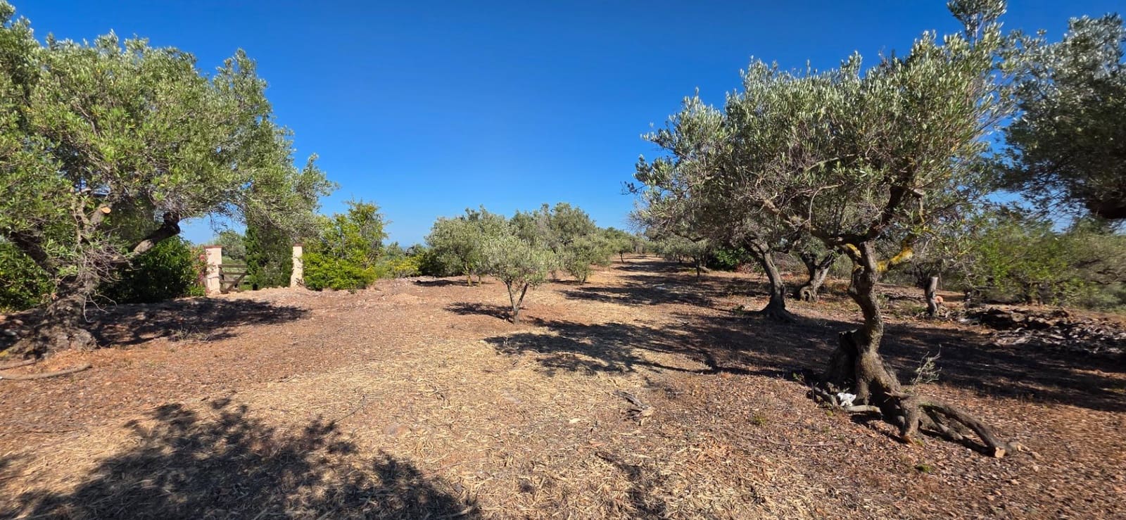 2 sovrum Finca/Hus på landet till salu i L'Aldea - 68 000 € (Ref: 9957963)