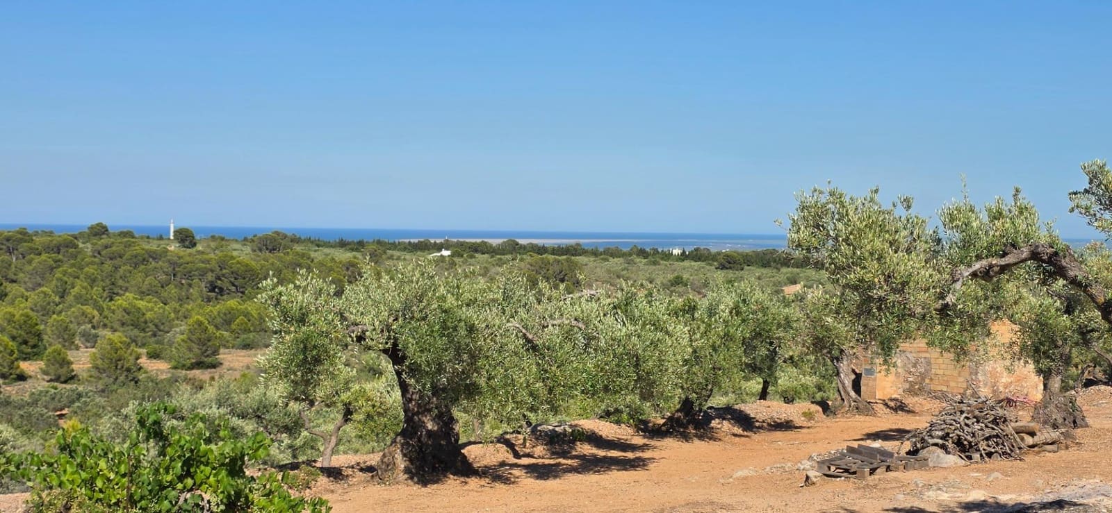 2 sovrum Finca/Hus på landet till salu i L'Aldea - 68 000 € (Ref: 9957963)