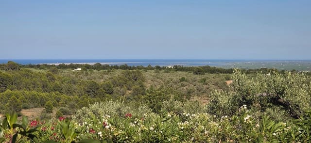 2 soverom Finca/Herregård til salgs i L'Aldea - € 79 000 (Ref: 9957963)