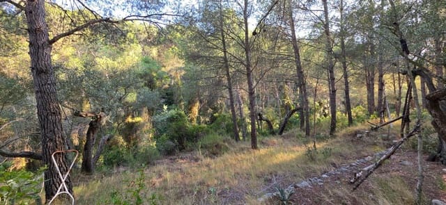 Finca/Herregård til salgs i El Perelló - € 35 000 (Ref: 9957964)