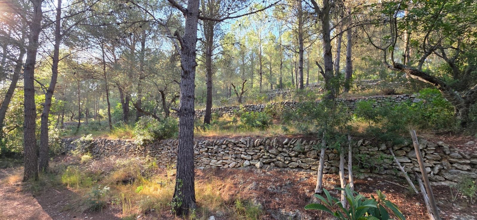 Finca/Landhuis te koop in El Perello - € 35.000 (Ref: 9957964)