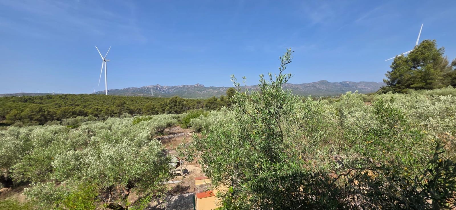 3 soverom Finca/Herregård til salgs i El Perello med svømmebasseng garasje - € 285 000 (Ref: 9959773)