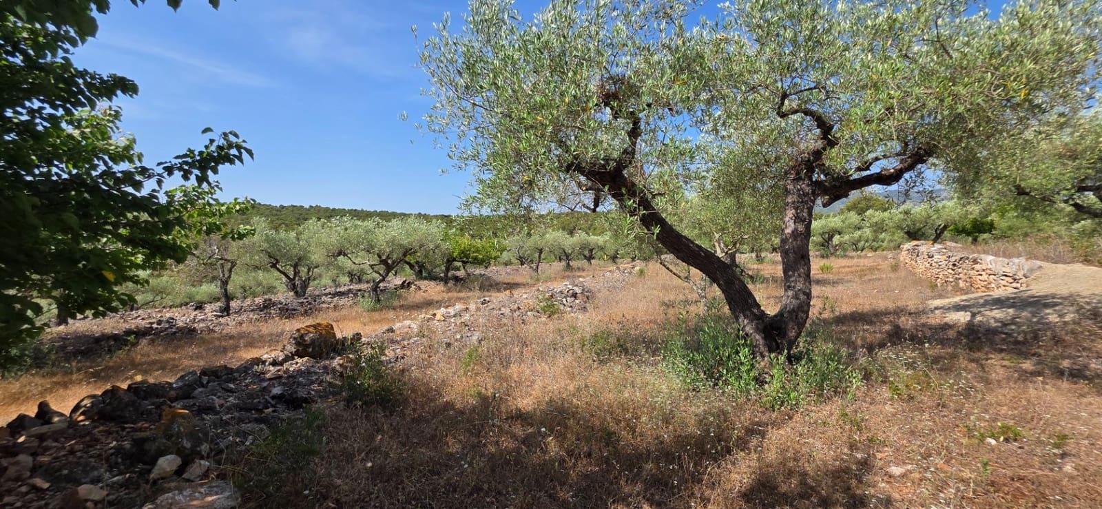 3 soverom Finca/Herregård til salgs i El Perello med svømmebasseng garasje - € 285 000 (Ref: 9959773)
