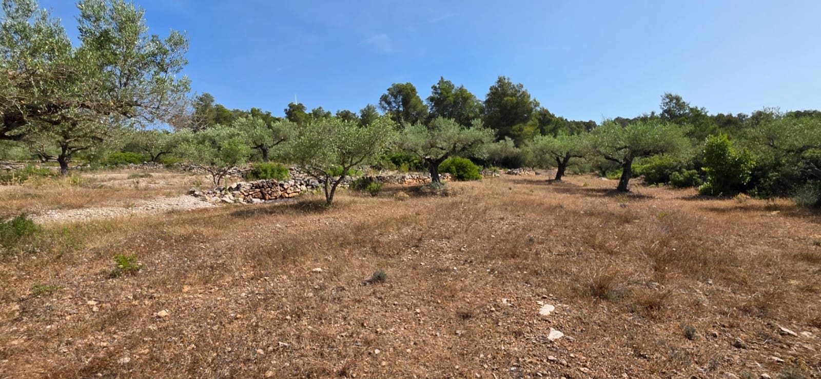 3 soverom Finca/Herregård til salgs i El Perello med svømmebasseng garasje - € 285 000 (Ref: 9959773)