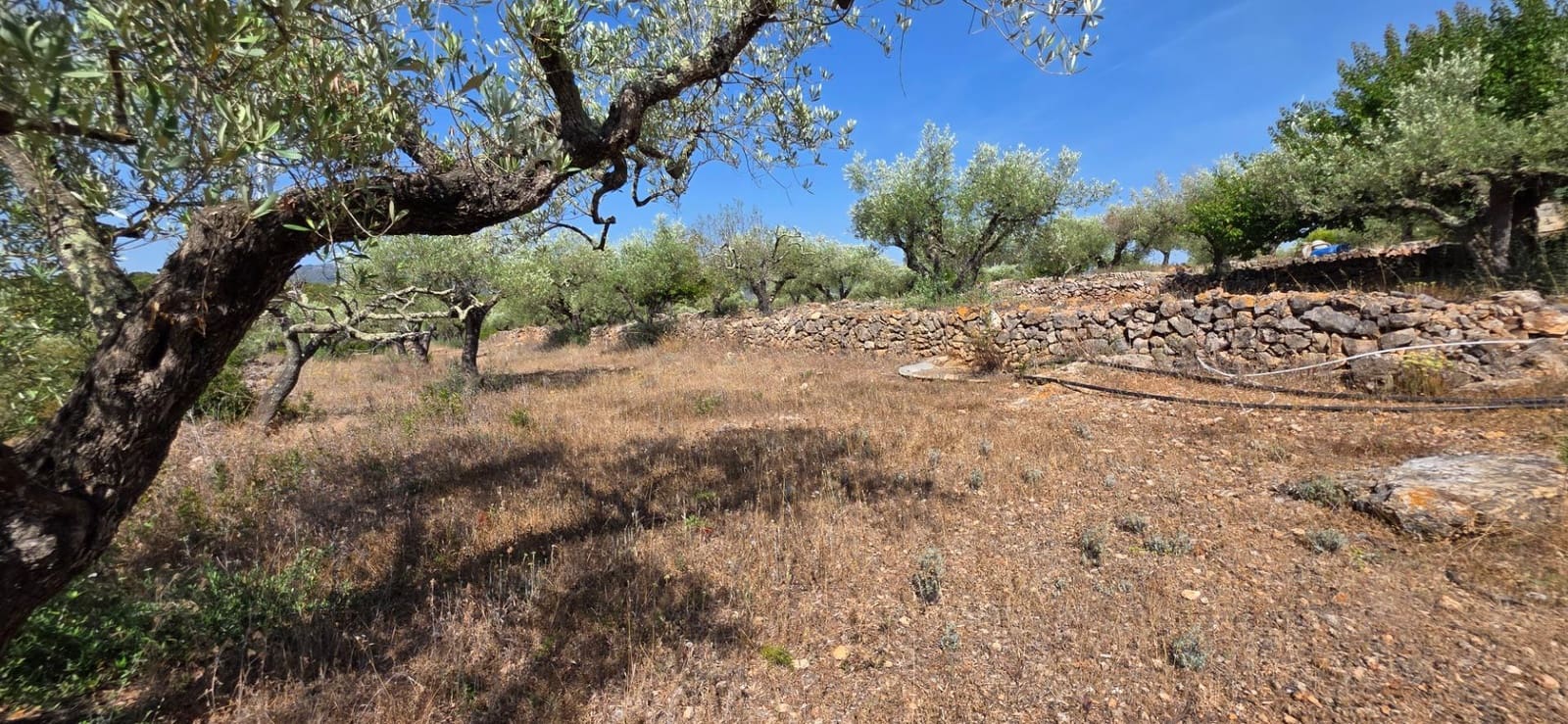 3 soverom Finca/Herregård til salgs i El Perello med svømmebasseng garasje - € 285 000 (Ref: 9959773)