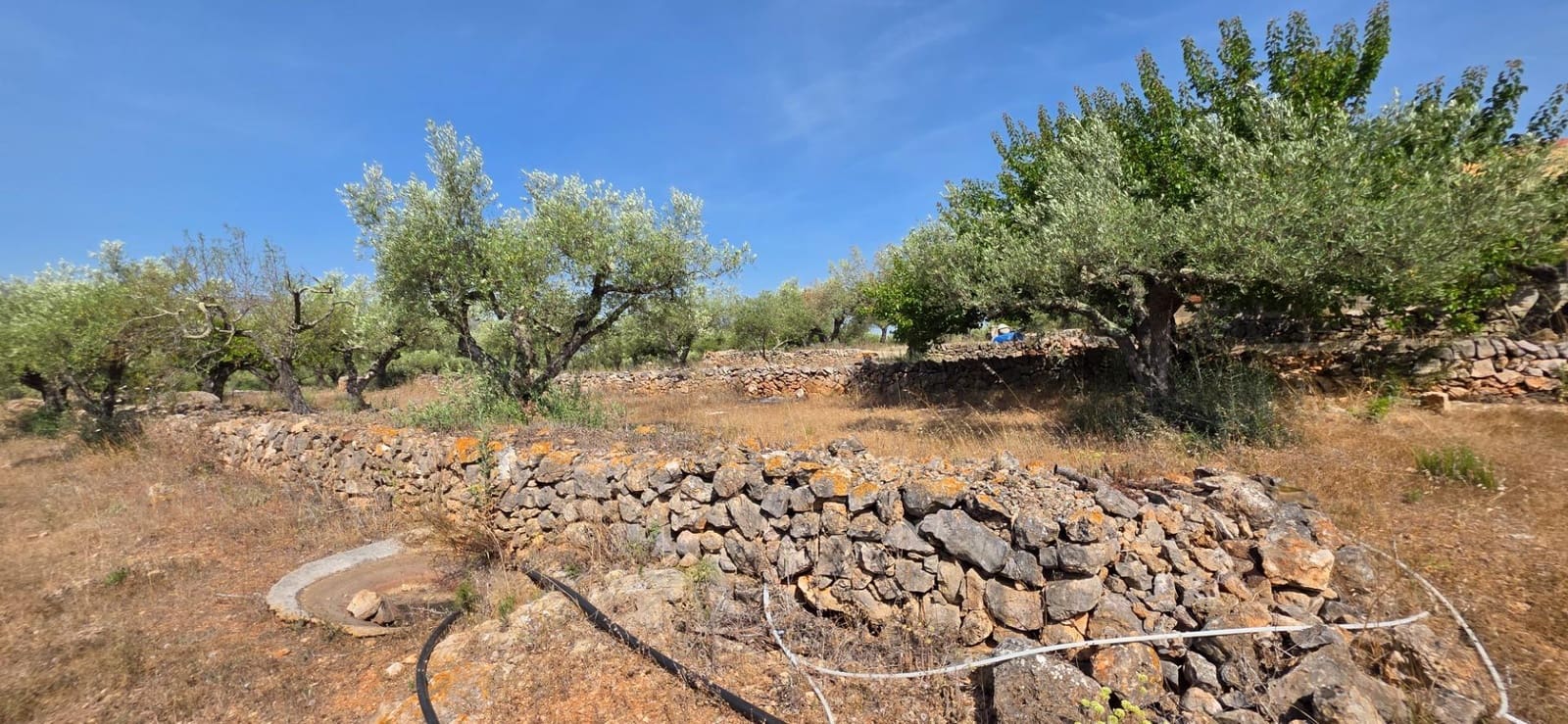 3 soverom Finca/Herregård til salgs i El Perello med svømmebasseng garasje - € 285 000 (Ref: 9959773)