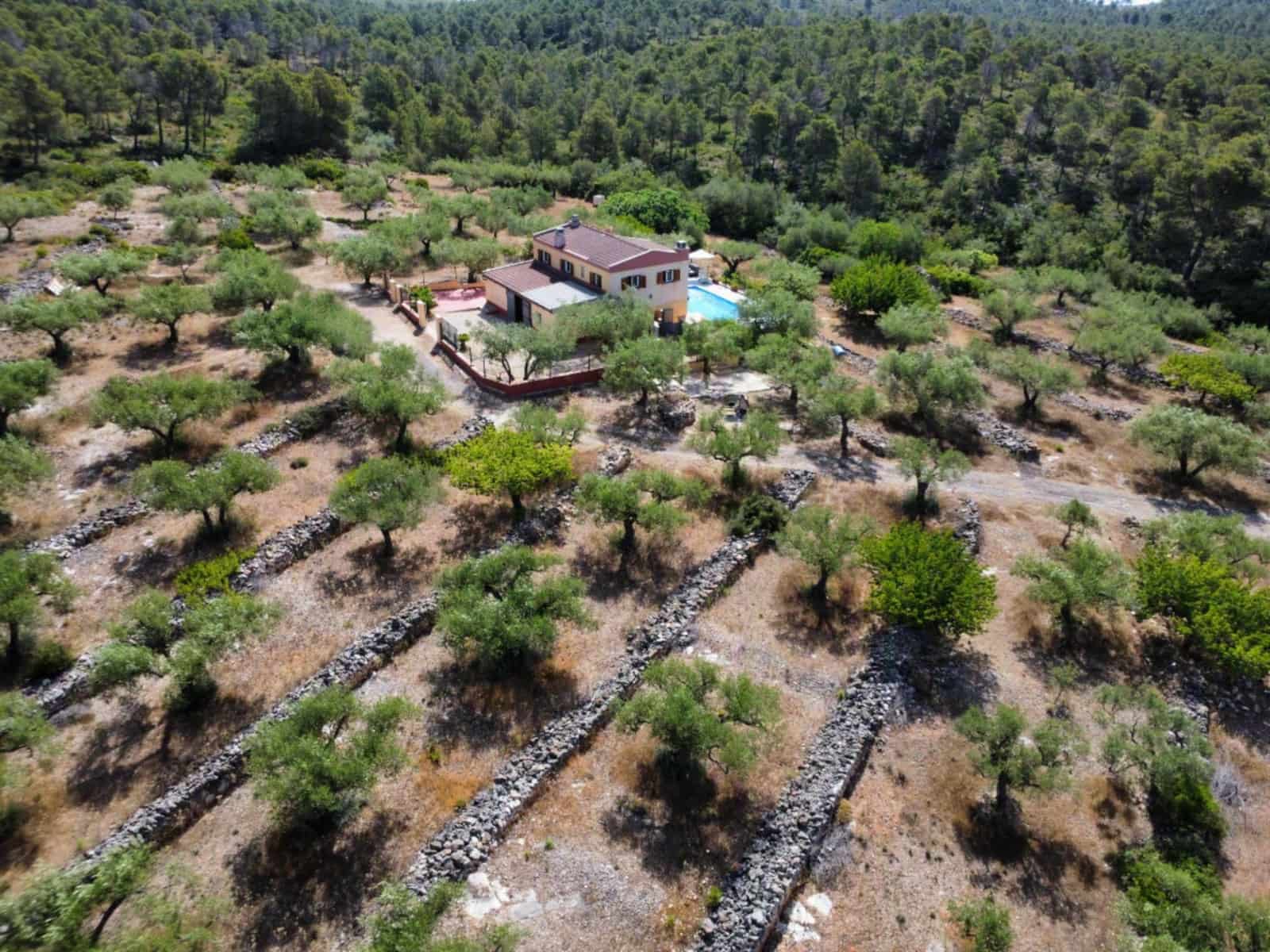 3 soverom Finca/Herregård til salgs i El Perello med svømmebasseng garasje - € 285 000 (Ref: 9959773)