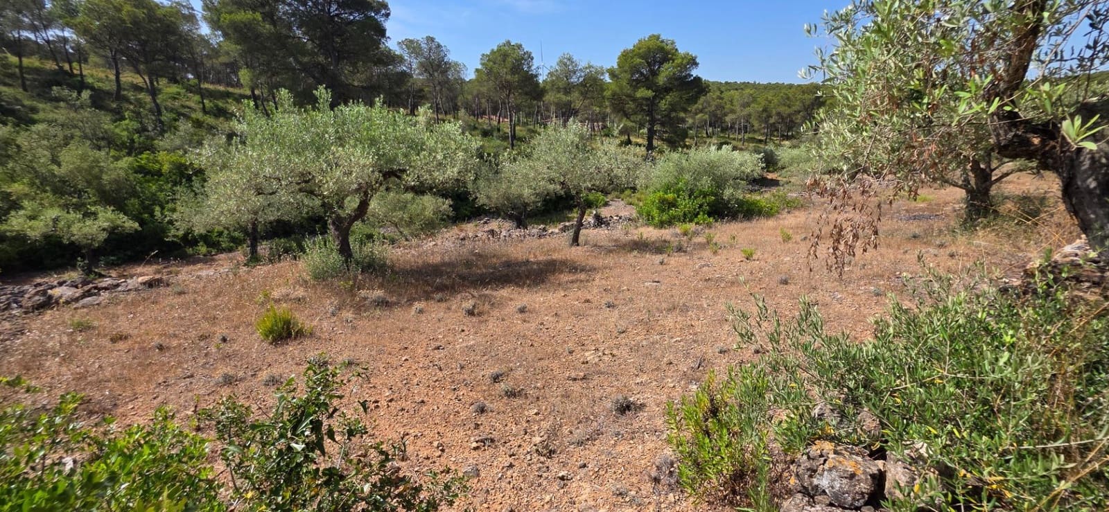 3 soverom Finca/Herregård til salgs i El Perello med svømmebasseng garasje - € 285 000 (Ref: 9959773)