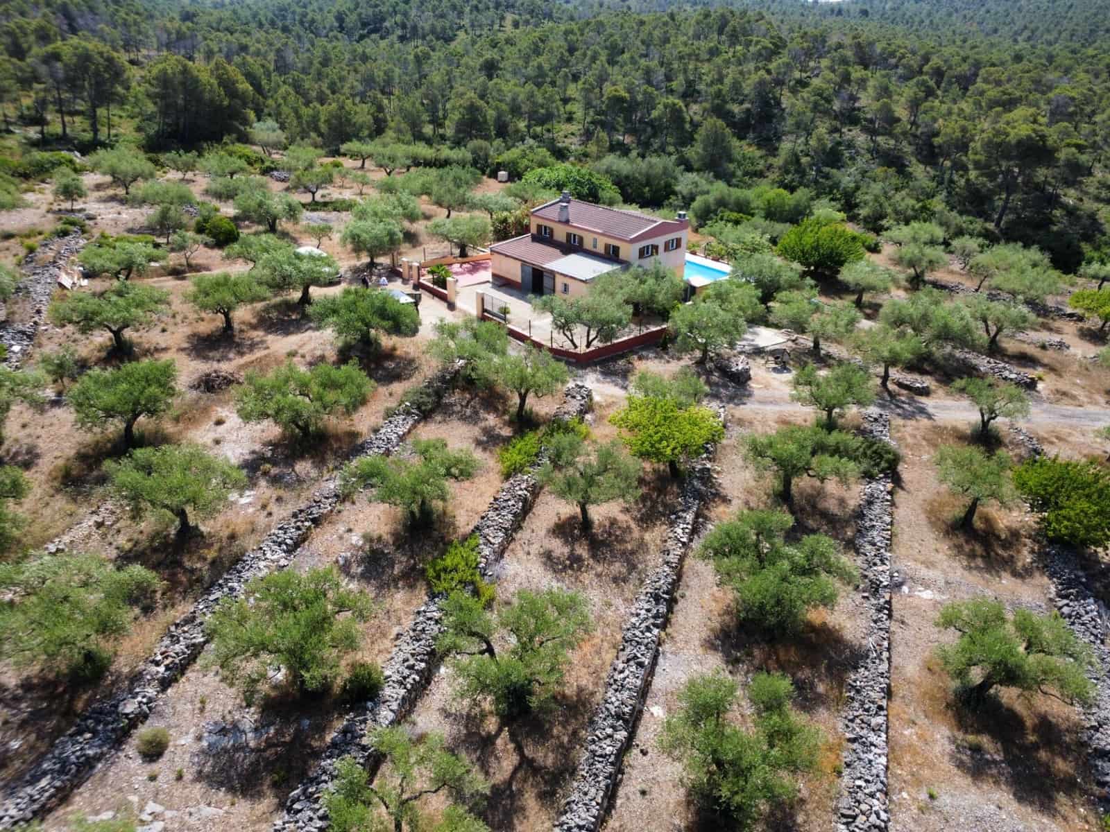 3 soverom Finca/Herregård til salgs i El Perello med svømmebasseng garasje - € 285 000 (Ref: 9959773)