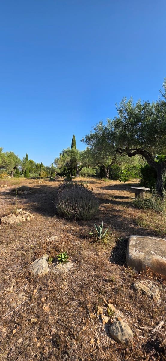5 slaapkamer Finca/Landhuis te koop in El Perello met zwembad garage - € 1.499.000 (Ref: 9998807)