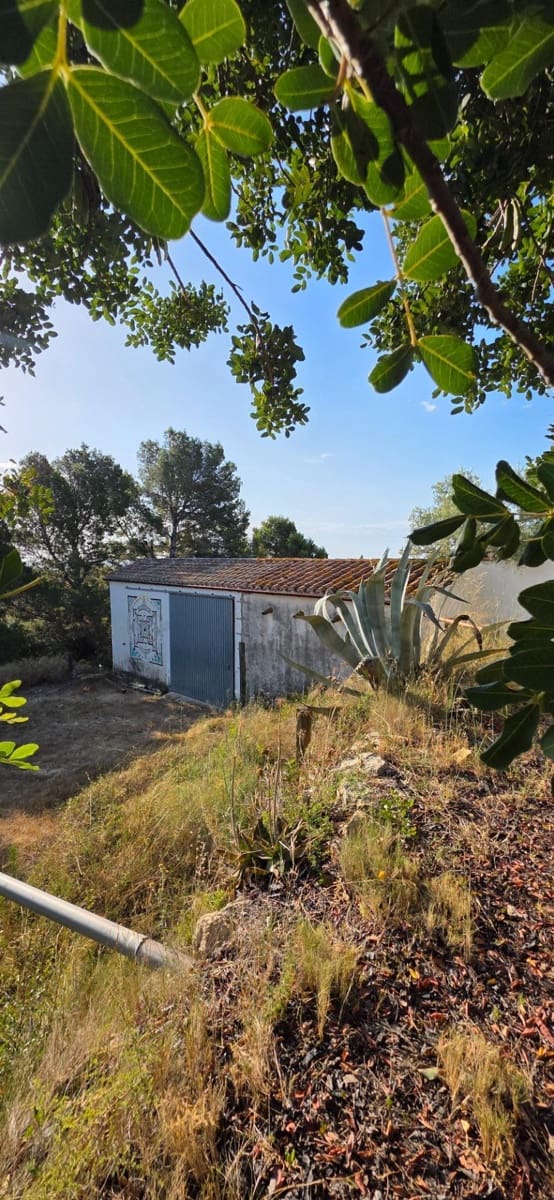 5 slaapkamer Finca/Landhuis te koop in El Perello met zwembad garage - € 1.499.000 (Ref: 9998807)