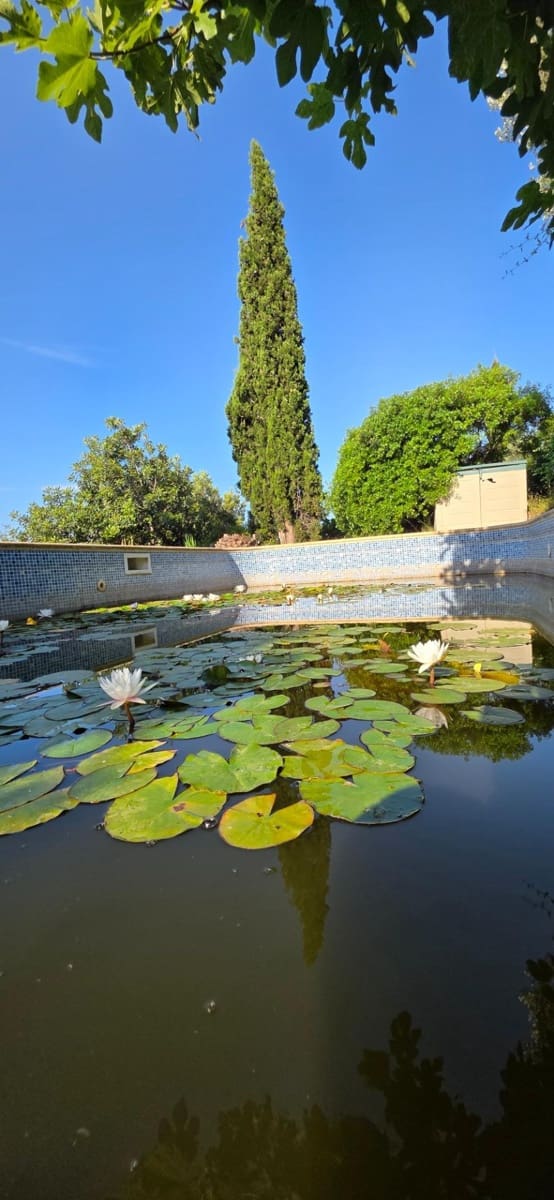 5 slaapkamer Finca/Landhuis te koop in El Perello met zwembad garage - € 1.499.000 (Ref: 9998807)